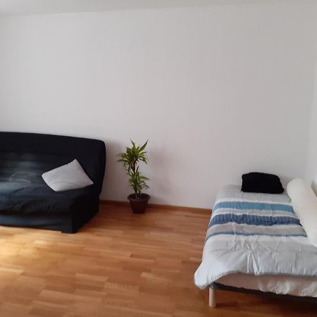 Residence Le Chateau Kaysersberg 外观 照片