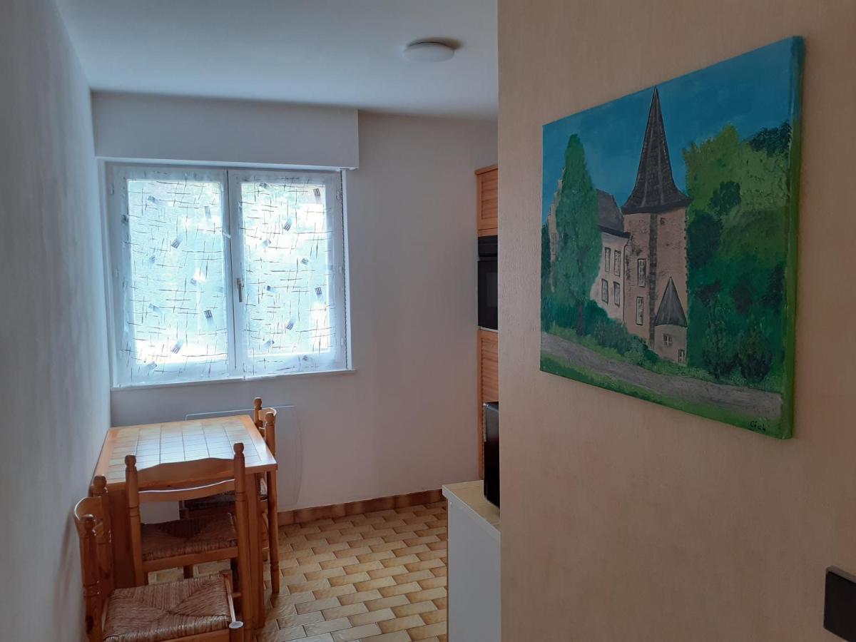 Residence Le Chateau Kaysersberg 外观 照片